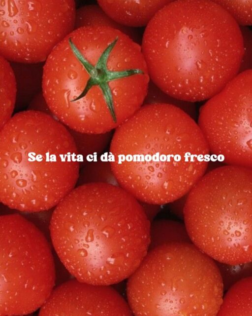 Quando la vita ti dà ingredienti freschi e di qualità, tu non ti fai troppe domande: ci fai l’Hamburger Country!Pomodoro fresco, mozzarella fiordilatte, pesto di basilico e tutta la bontà del nostro burger. Semplice, fresco, perfetto per l’estate. ☀️🔥📍 Passa a provarlo nelle sedi di Matino e Lido Marini!#Krivè #HamburgerCountry #FoodPornSalento #Matino #CastroMarina LidoMarini PucciaSalentina EstateInPuglia FoodPornPuglia